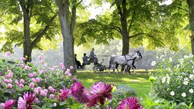 Romantische Kutschfahrt im Dahliengarten in Baden-Baden